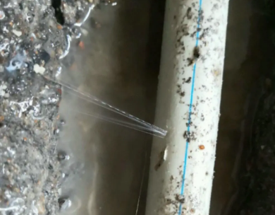 靖西测漏水哪家好