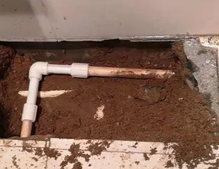 靖西测漏水哪家好