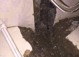 靖西卫生间测漏水哪家好