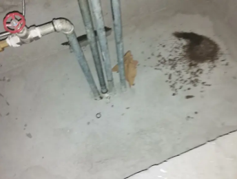 靖西卫生间测漏水价格明细