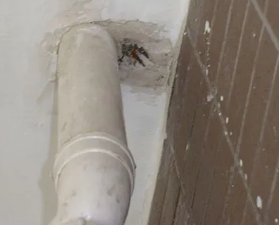 靖西漏水检测哪家好